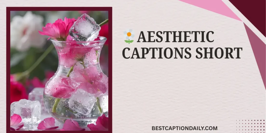 🌼 Aesthetic Captions Short 