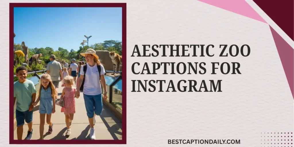 Aesthetic Zoo Captions For Instagram