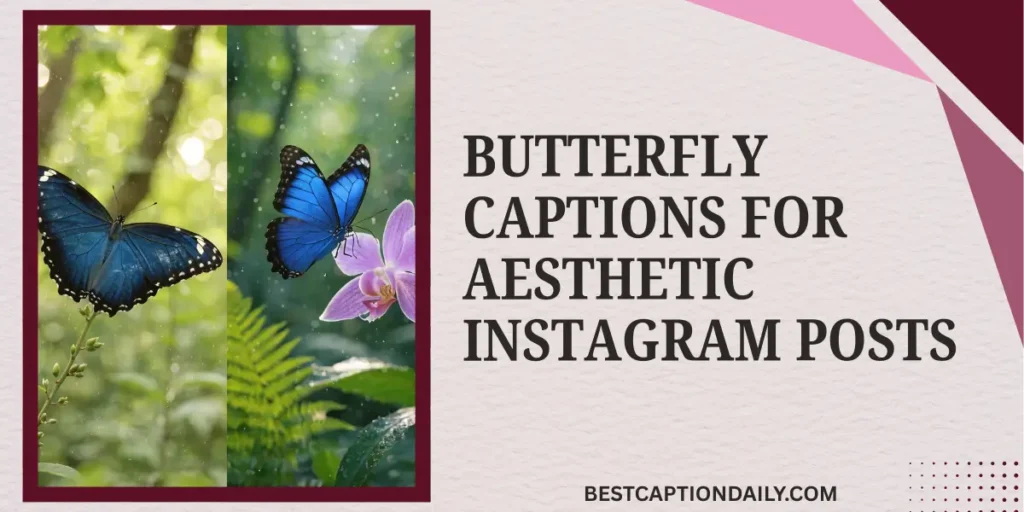 Butterfly Captions For Aesthetic Instagram Posts