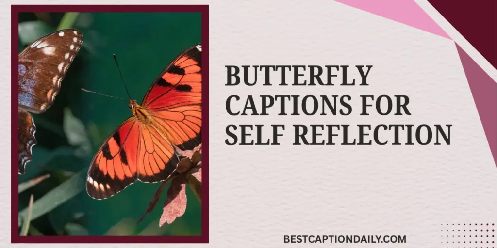 Butterfly Captions For Self Reflection