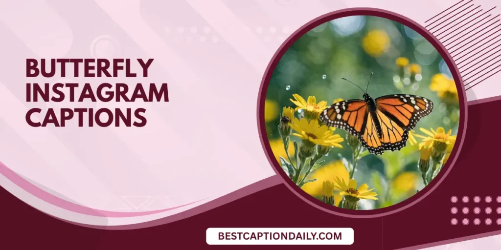 Butterfly Instagram Captions