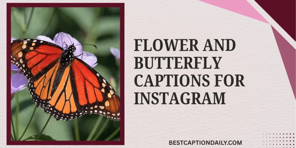Flower And Butterfly Captions For Instagram