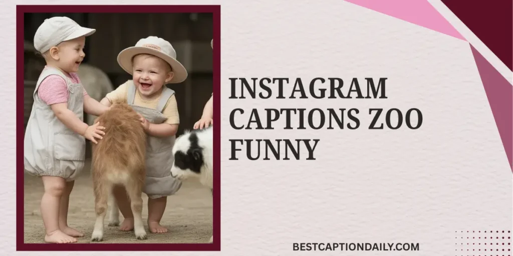 Instagram Captions Zoo Funny