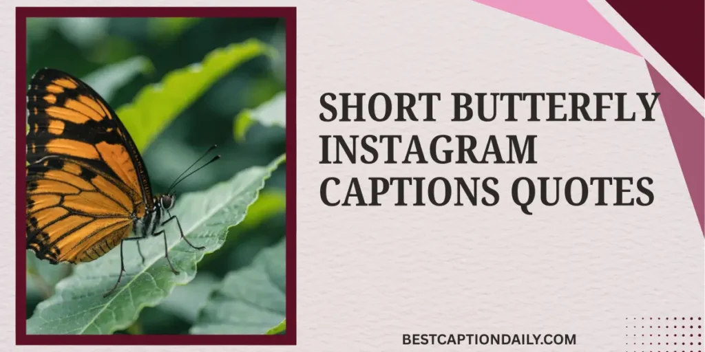 Short Butterfly Instagram Captions Quotes