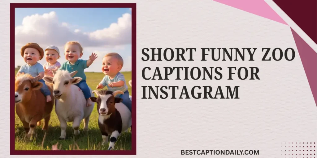 Short Funny Zoo Captions For Instagram