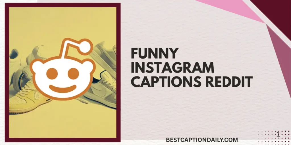 Funny Instagram Captions Reddit 